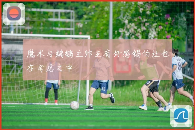 魔术与鹈鹕主帅互有好感锡伯杜也在考虑之中