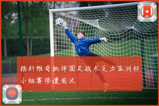 扬科维奇批评国足战术乏力亚洲杯小组赛惨遭淘汰